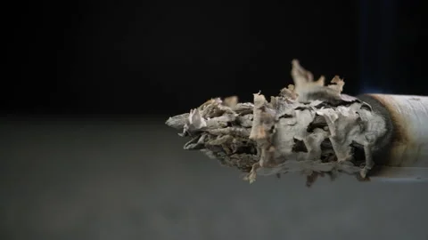 A cigarette smolders on a black background. Close-up. Dolly shot Видео 234903032