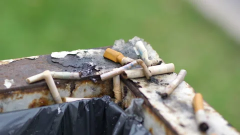 Cigarette sticks on the trash bin in 4k slow motion 60fps Stock Footage 164781045