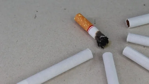 Cigarette stub on a gray background with new cigarettes. World no tobacco day. Stock Footage 114543735