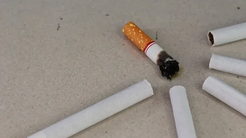 Cigarette stub on a gray background with new cigarettes. World no tobacco day . Stock Footage 114557937