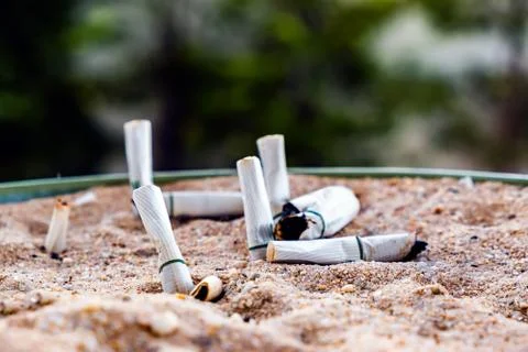 Cigarette stub in the trash Stock Photos