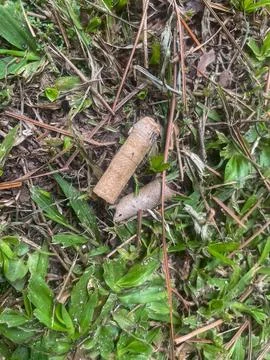 Cigarette thrown in grass Stock Photos