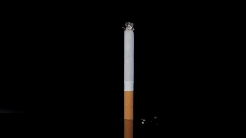 Cigarette time lapse Stock Footage 130100985