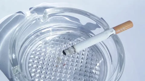 A cigarette was left in the Ashtray. Time lapse Stock Footage 137742503