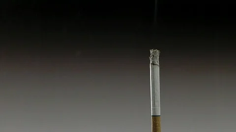 Cigarette005 Stock Footage 359726