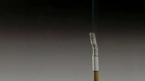 Cigarette006 Stock Footage 359727