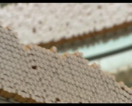 Cigarettes 08 Stock-Footage 8523308