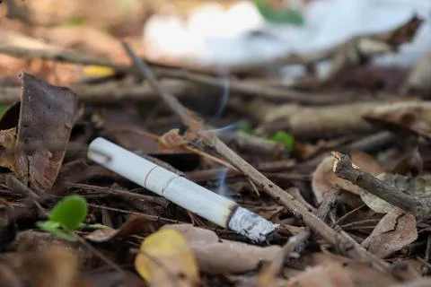 Cigarettes are fire 스톡 사진