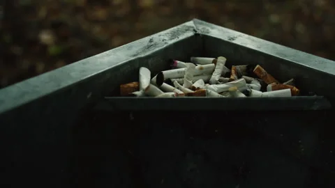 Cigarettes Buds In Dust Bin Stock Footage 252359683