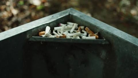 Cigarettes Buds In Garbage Can Stock Footage 252359858