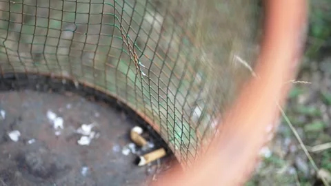 Cigarettes Buds In Garbage Can Stock Footage 317916767