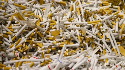 Cigarettes in bulk Stock Footage 169451151