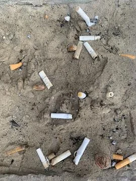 Cigarettes butts Photos