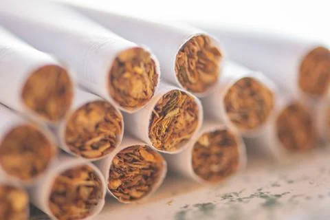 Cigarettes close up, macro Stock Photos