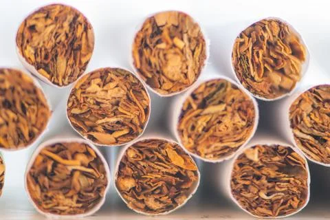 Cigarettes close up, macro Stock Photos