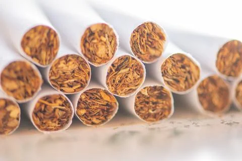 Cigarettes close up, macro Stock Photos