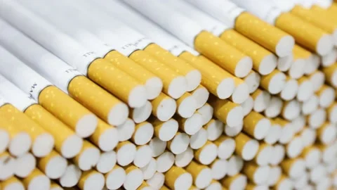 Cigarettes on the conveyor Stock Footage 169633090