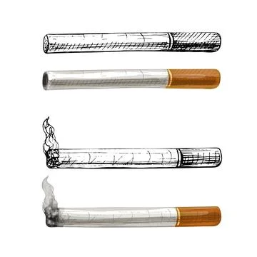 Cigarettes with filter. Vintage vector hatching color hand drawn illustration Stock Illustration