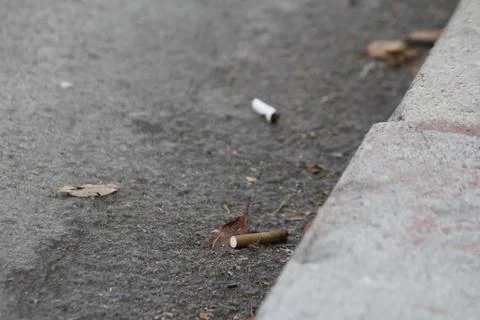 Cigarettes litter the gutter Stock Photos