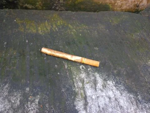 Cigarettes lying in the yard Stock Photos