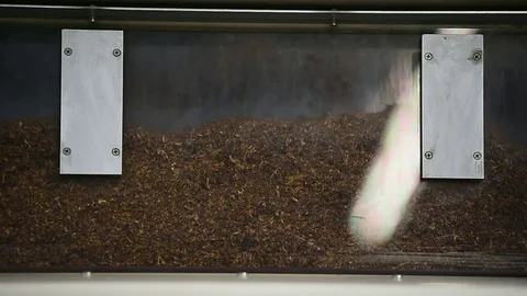 Cigarettes production process inside a modern factory Stock Footage 69861019