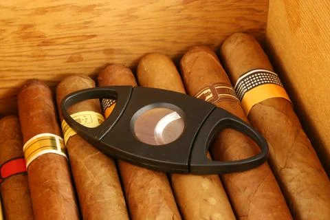 Cigars with cutter Foto stock