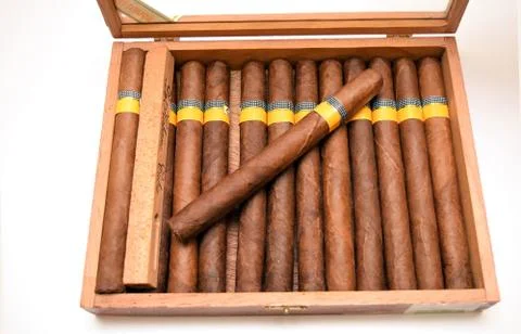 Cigars in humidor Stock Photos