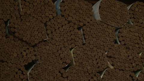 Cigars inventory Video stock 93706501