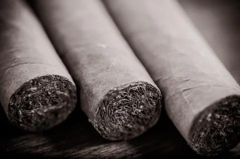 Cigars 스톡 사진