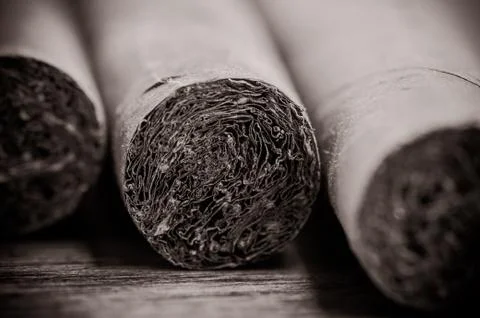 Cigars Stock Photos
