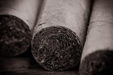 Cigars 스톡 사진