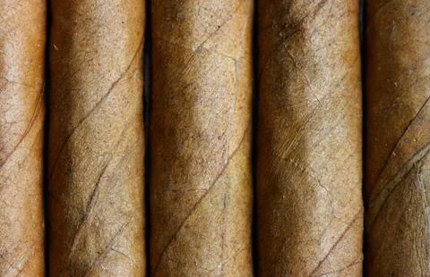 Cigars Stock Photos