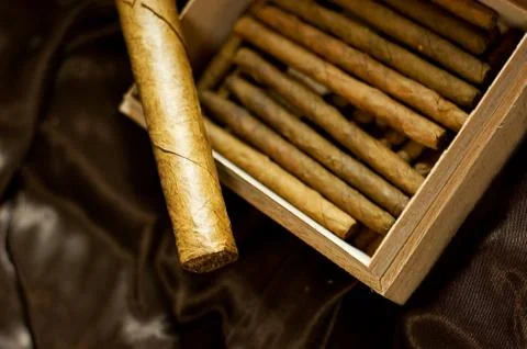 Cigars Stock Photos