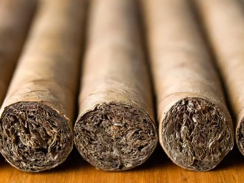 Cigars placed in rows, close-up Foto stock