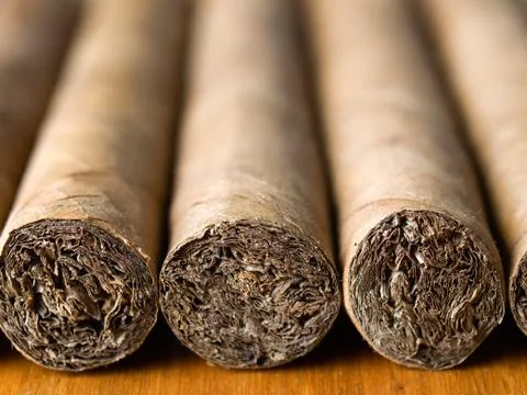 Cigars placed in rows, close-up Stock Photos