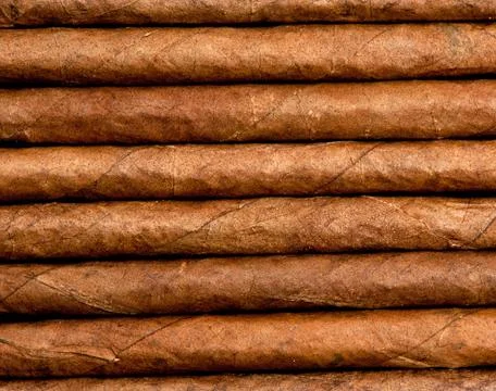 Cigars in a row close-up Stock Photos