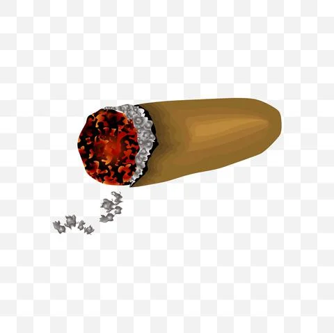 Cigars vector illustration on blank background Stock Illustration