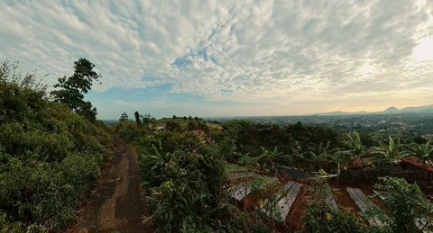 The Cijeruk Weed Park 4 Stock Footage 281082113