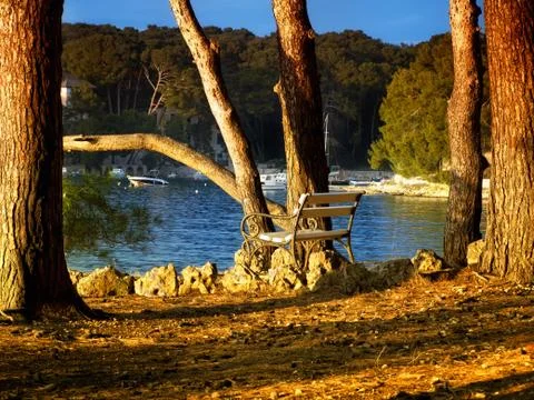 Cikat bench Stock Photos