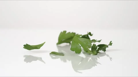 Cilantro Bouncing Slow Motion White Tabletop Closeup Macro Food Studio Stock Footage 335005964