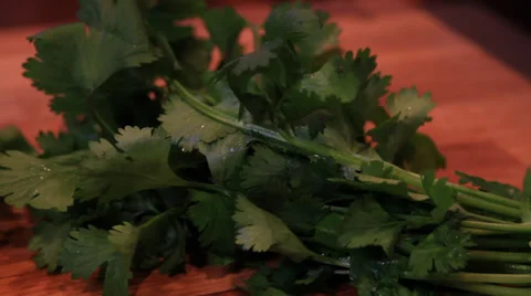 Cilantro up close is so good Stock Footage 37414733
