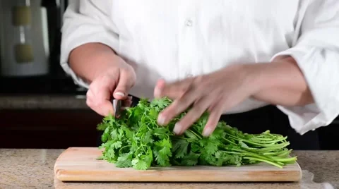 Cilantro on Cuttingboard Stock Footage 40644540