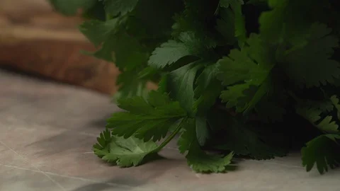 Cilantro Video stock 89105233