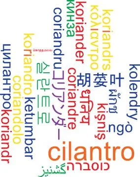 Cilantro multilanguage wordcloud background concept Illustrazione stock