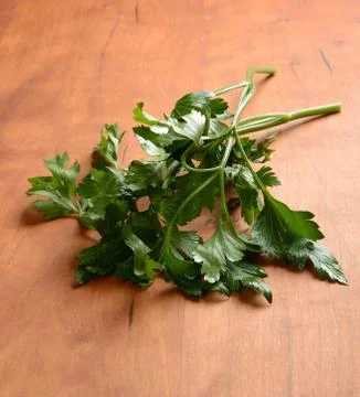 Cilantro on Table Stock Photos