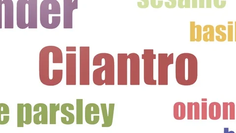 Cilantro Isolated Stock Footage ~ Royalty Free Stock Videos | Pond5