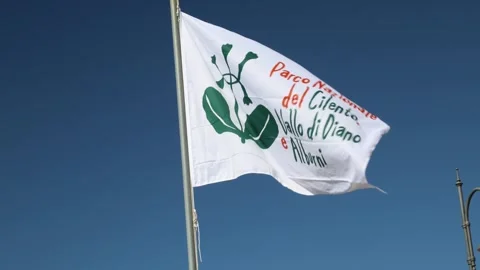 Cilento flag Stock Footage 271114201