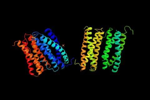 Ciliary neurotrophic factor, a protein and a potent survival factor for neu.. Stock Illustration