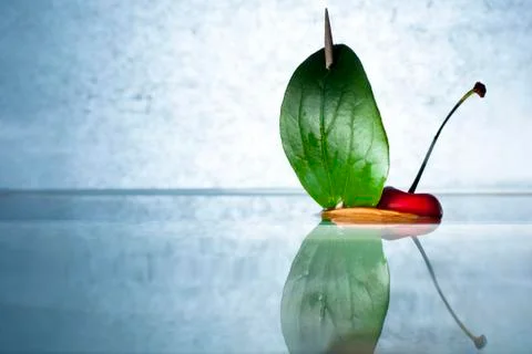 Ciliegia in barca Stock Photos