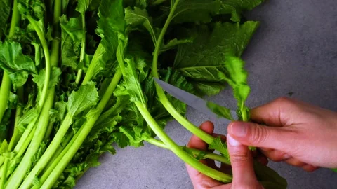 Cime di rape Stock Footage 296042211